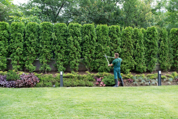 Best Lawn Edging Services  in St Stephens, NC